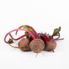 Beetroot
