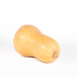 Butternut Squash