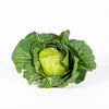 Cabbage