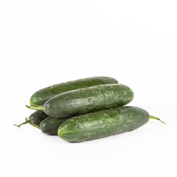 Cucumber