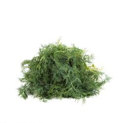Dill