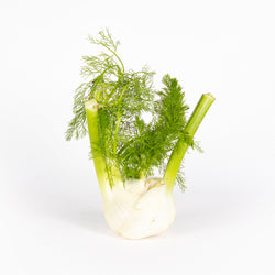 Fennel
