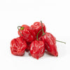 Chili
