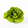 Lettuce