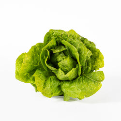 Lettuce