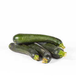 Zucchini