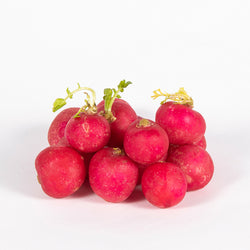 Radish