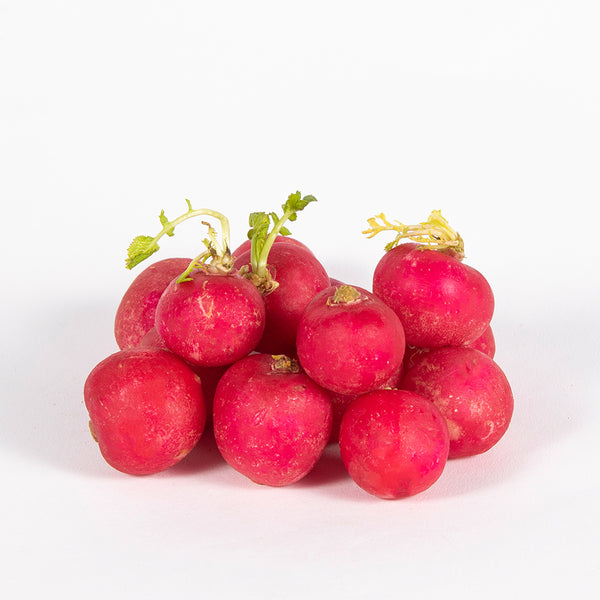 Radish