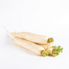 Radish