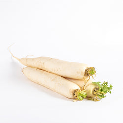 Radish