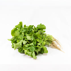Rucola