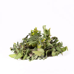 Sage