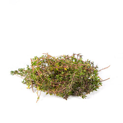 Thyme