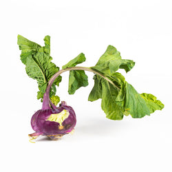 Turnip